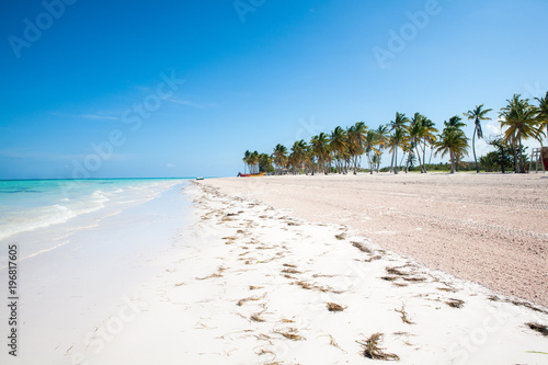 Tropical Beach with White Sand and Palm Trees, in Cap Cana, Dominican Republic