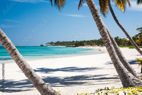 Beach in the Caribbean Sea with White Sand, Turquoise Water and Palm Trees, in Cap Cana, Dominican Republic