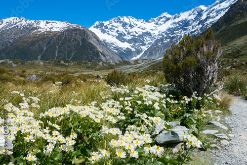 ニュージーランド　マウントクック国立公園