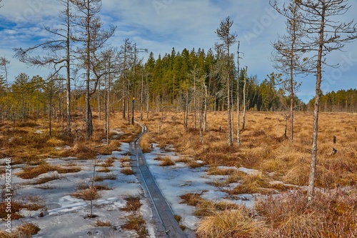 Swamps in Finland