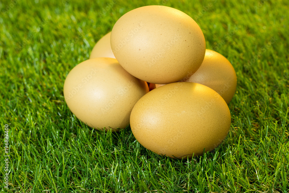 Eggs are placed on artificial grass. Eggs are placed on artificial grass.