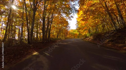 Driving in the fall