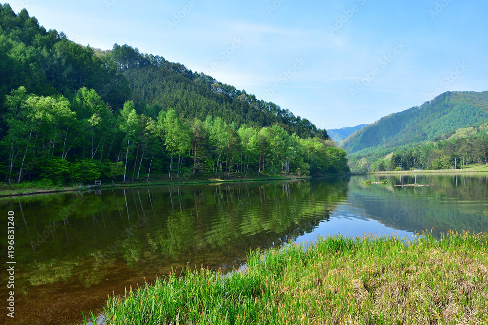 新緑に囲まれた高原の池