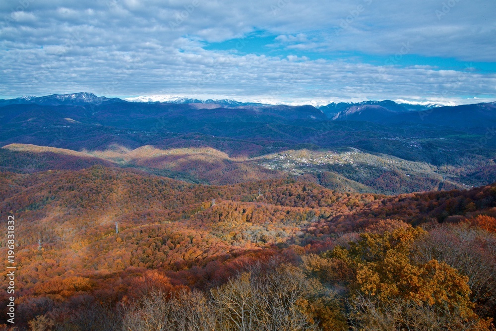 Autumn landscape. Snowy mountains on the horizon and autumn forest near. Blue sky with clouds.