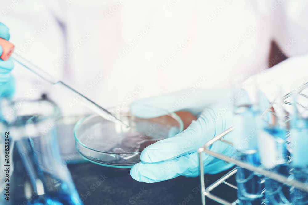 Scientist dropping chemical liquid to Petri dish in lab Glass laboratory chemical test,Laboratory research concept Scientist dropping chemical liquid to Petri dish in lab Glass laboratory chemical test,Laboratory research concept
