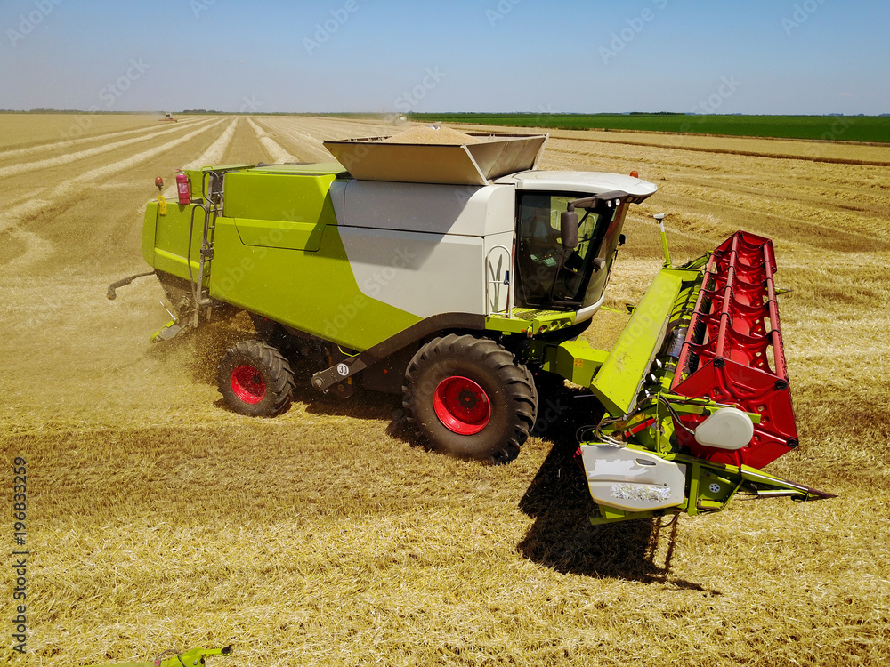 Obraz premium Combine harvester in the wheat field with dust straw in the air.