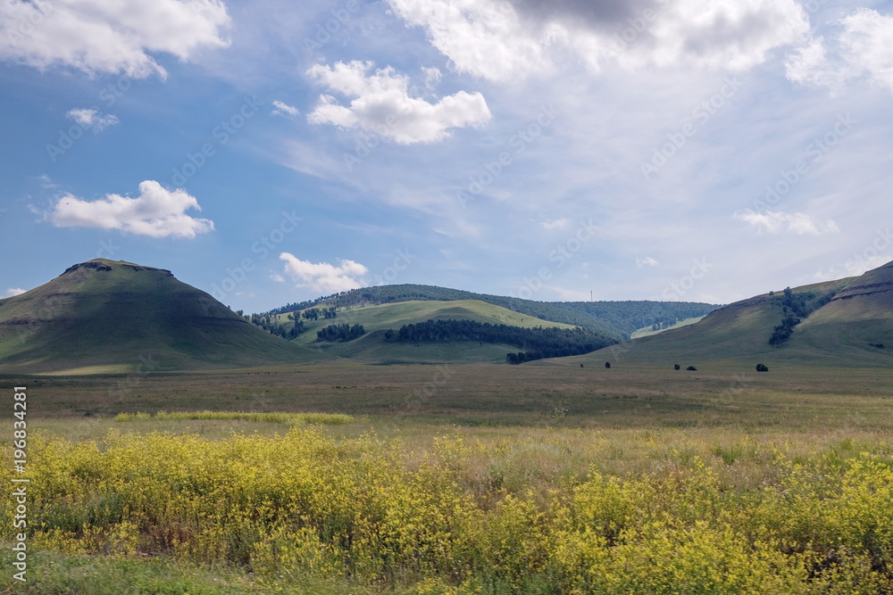 Khakass landscape with a blooming yellow flowers of a meadow on the background of wooded mountains. Khakassia is a republic  in the Siberia.