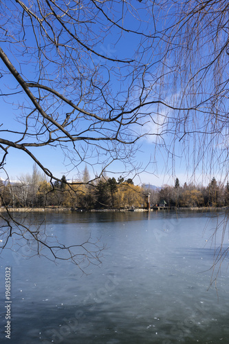 Wallpaper Mural Frozen lake water on a winter blue sky and tree branches Torontodigital.ca