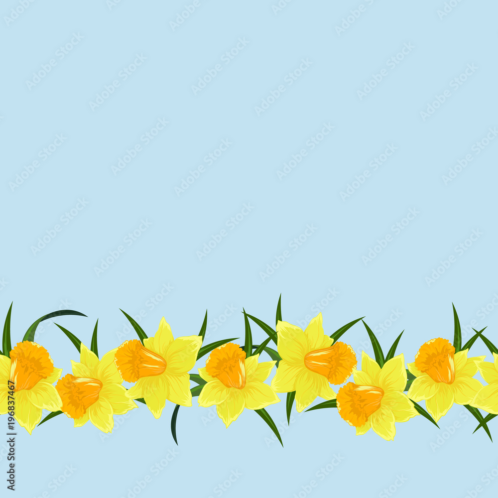 Colored floral seamles pattern with flowers in botanical style on a white background. Seamless line narcissus. Stock line vector illustration.