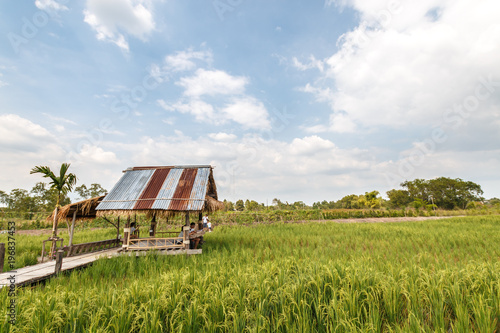 asia countryside view photo