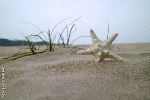 Beautiful summer beach landscape photo