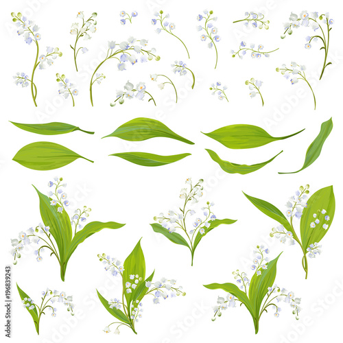 Lily Valley Hand Drawn Watercolor Flowers, Leaves and Floral Elements for Decoration, Wedding, Wallpaper, Fabric. Botanical Spring Set. Vector illustration