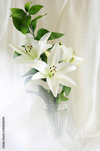 белая лилия с зеленой веткой в стеклянной вазе