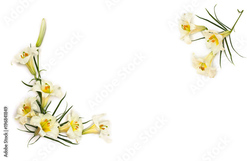 Frame of white trumpet lilies on a white background with space for text. Top view, flat lay photo