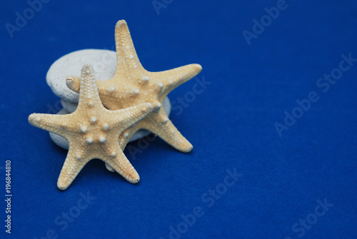 Nautical, Marrine concept. Starfish with Shell against a Blue background with copy Space. Summer Holliday.