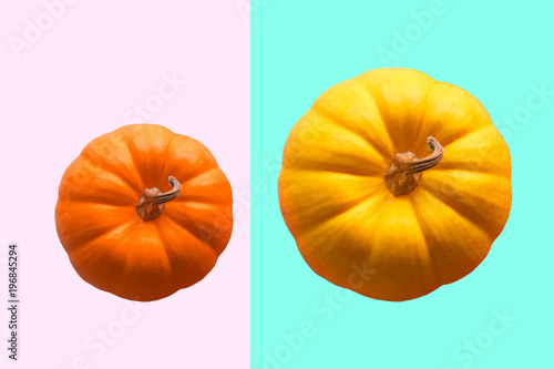 two orange isolated pumpkin for Halloween or thanksgiving day on colorful blue and pink vintage background photo