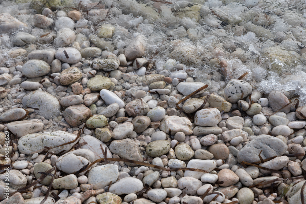 shore with stones