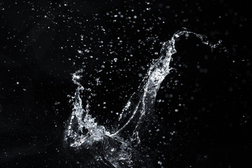 water splash black background backdrop fresh