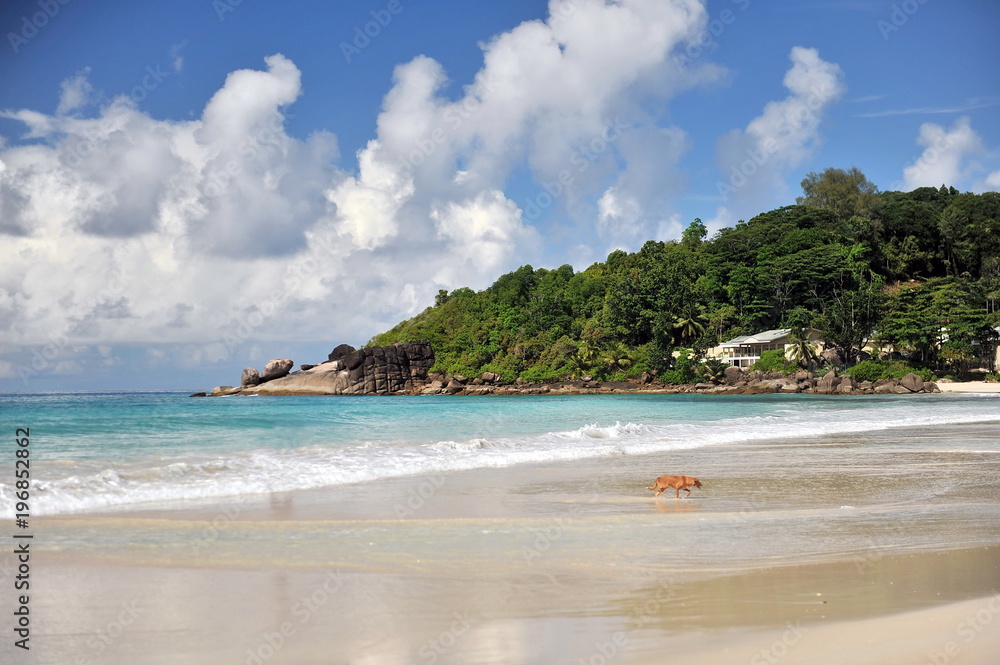 The Seychelles. Beaches with fine sand and turquoise water