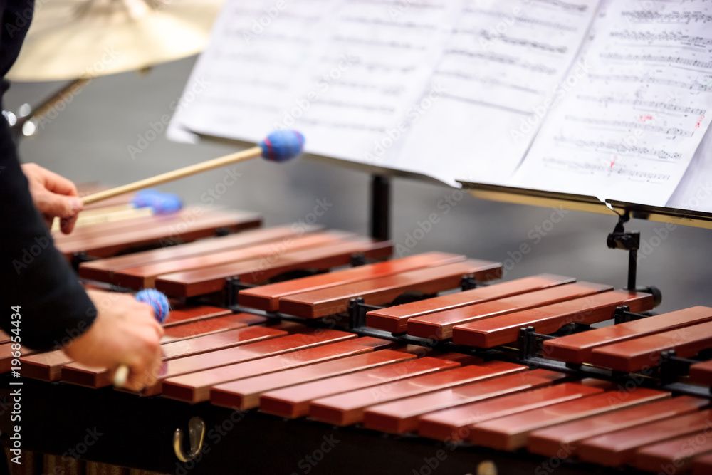 Xylophone, marimba or mallet player with sticks,