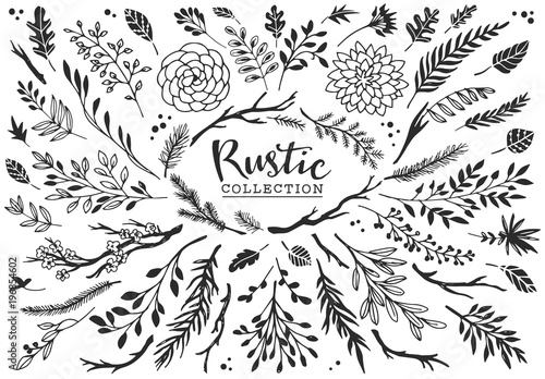 Rustic decorative plants and flowers collection. Hand drawn vintage vector design elements.