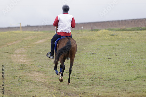 Jinete a caballo paseando por el campo. Clases de equitación. © Trepalio