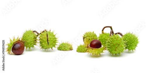 Mature chestnuts isolated on white background