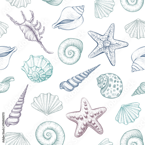 Seashells vector seamless pattern.