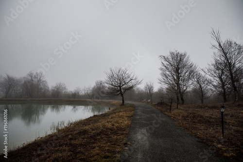 Landscape with misty morning fog in the Forest Lake or Beautiful forest lake in the morning at winter time. Azerbaijan nature. © zef art