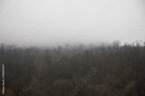Landscape with beautiful fog in forest on hill or Trail through a mysterious winter forest with autumn leaves on the ground. Road through a winter forest. Magical atmosphere. Azerbaijan