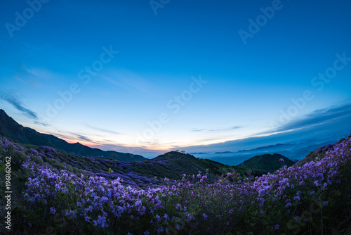 황매산의 철쭉 축제