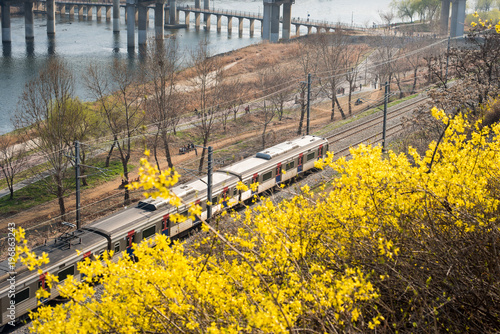 봄을 달리는 열차