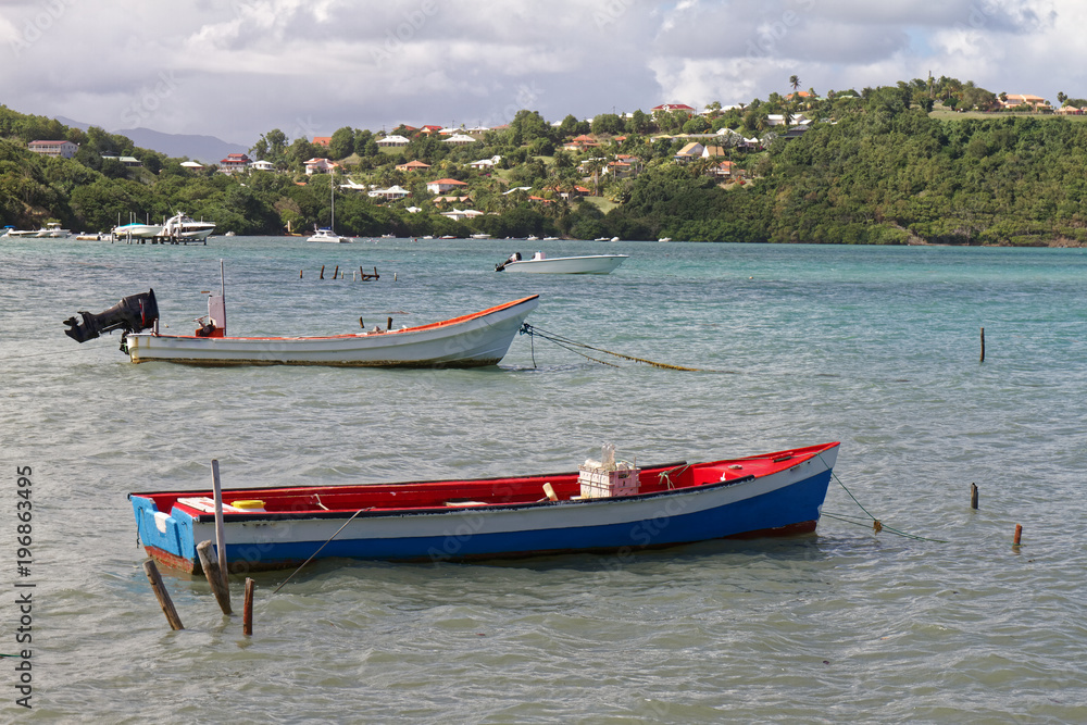 Fototapeta premium Fishermen boats in Le Robert - Martinique FWI