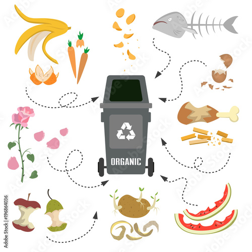 Container with organic trash on white background.
