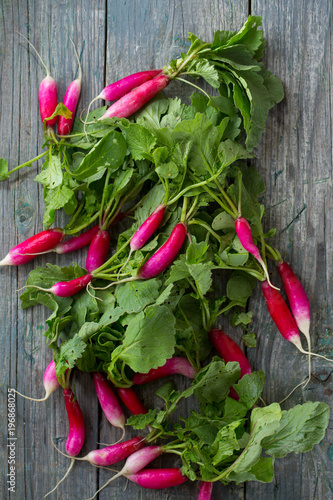 pile of radishes, top view