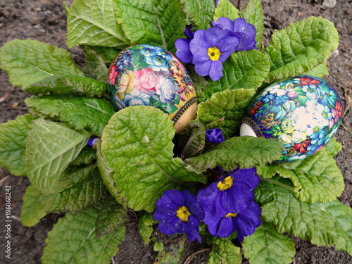 Украшенные Пасхальные яйца лежат в синих цветках примулы