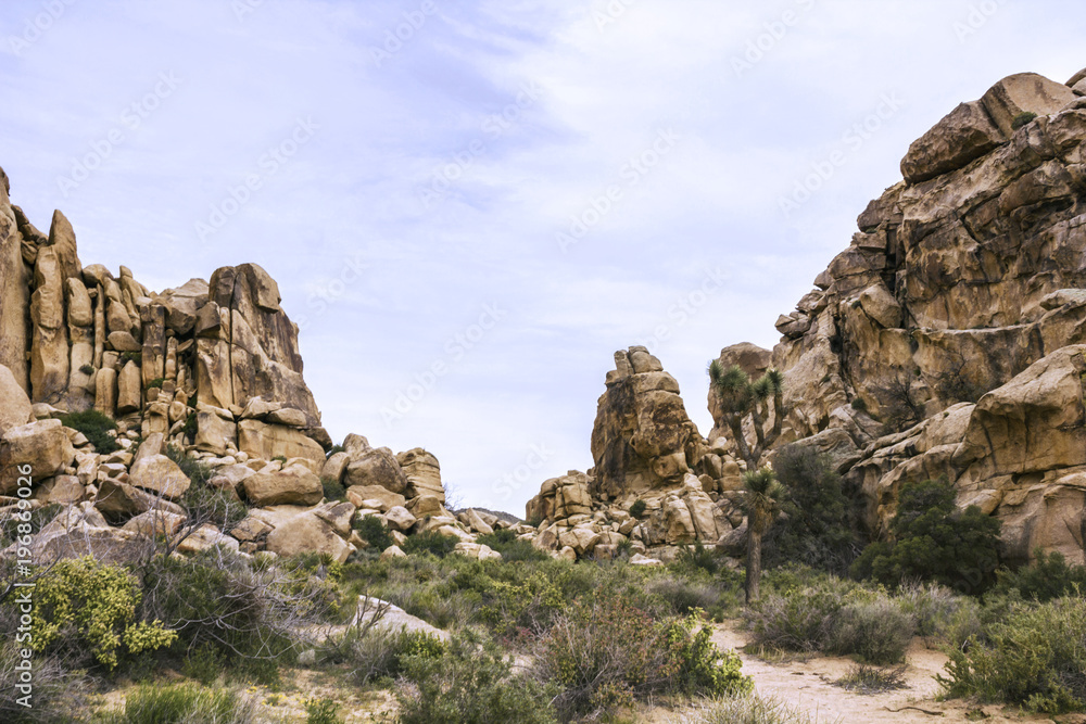 Beautiful landscape view from the hiking trail in Joshua Tree National Park, California, United States. Beautiful landscape view from the hiking trail in Joshua Tree National Park, California, United States.