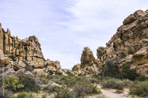 Beautiful landscape view from the hiking trail in Joshua Tree National Park, California, United States.