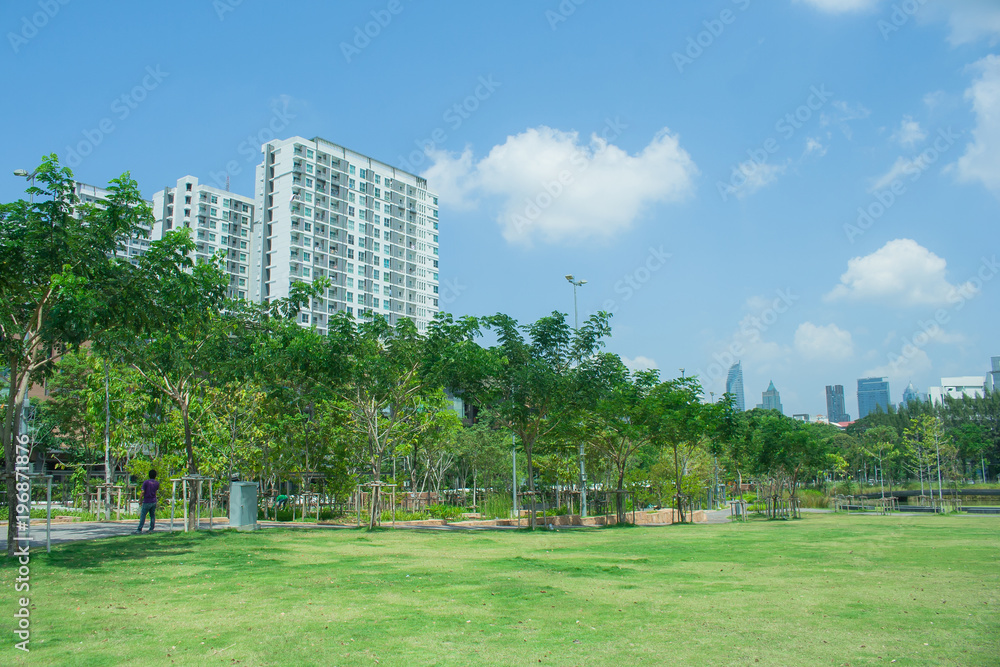 Beautiful green grass meadow field in public park with city buildings in the background.