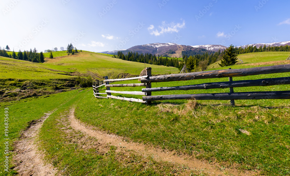 country road through grassy rural hillside. lovely springtime scenery in mountainous area
