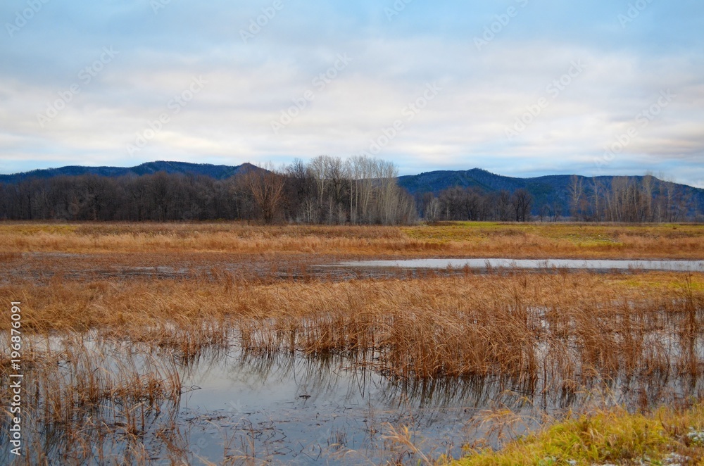 Swamp with autumn grass. Mountains on the horizon.