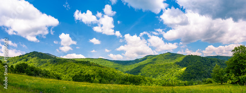 panorama of beautiful countryside in summer. beautiful landscape with forested mountains and grassy field under the blue sky with some clouds © Pellinni