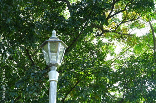 Vintage lamp combine with scenery of green trees