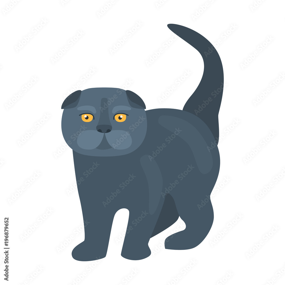 Cat flat color icon Cat flat color icon