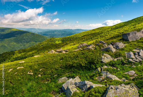 green rolling hills of Carpathian mountains. beautiful summer landscape under blue sky with some clouds. nice place for hike and nature connect