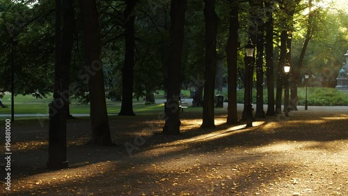 BEAUTIFUL CITY PARK IN GOLDEN COLORS, HUMLEGARDEN, STOCKHOLM, SWEDEN photo