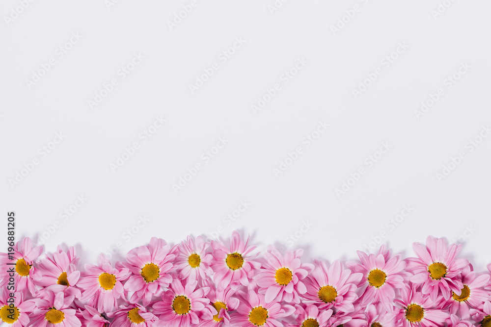 Pink flowers on a white table in a row Pink flowers on a white table in a row