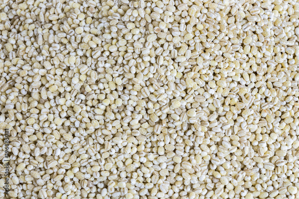 Heap of pearl barley grains isolated on background with copy space for text. Concept food for healthy. Pearl barley grains dried vegetarian food ingredient. Heap of pearl barley grains isolated on background with copy space for text. Concept food for healthy. Pearl barley grains dried vegetarian food ingredient.