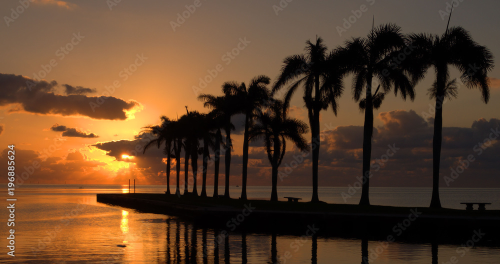 Obraz premium Cutler Bay Sunrise / Sunrise from Cutler Bay near Miami, Florida 