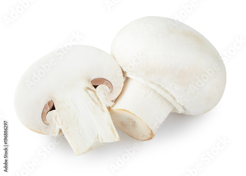 raw mushroom champignon